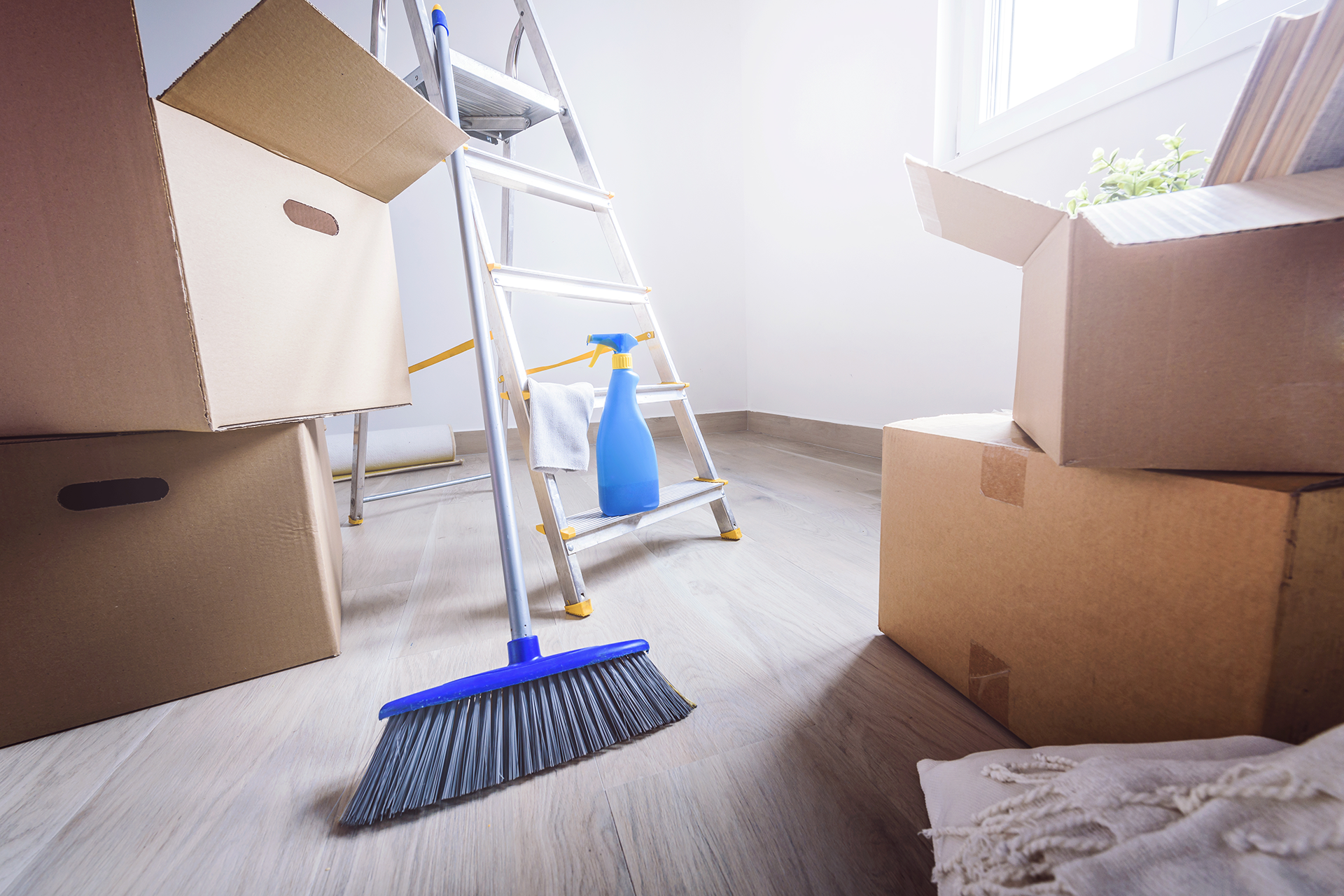 Move Out Cleaning